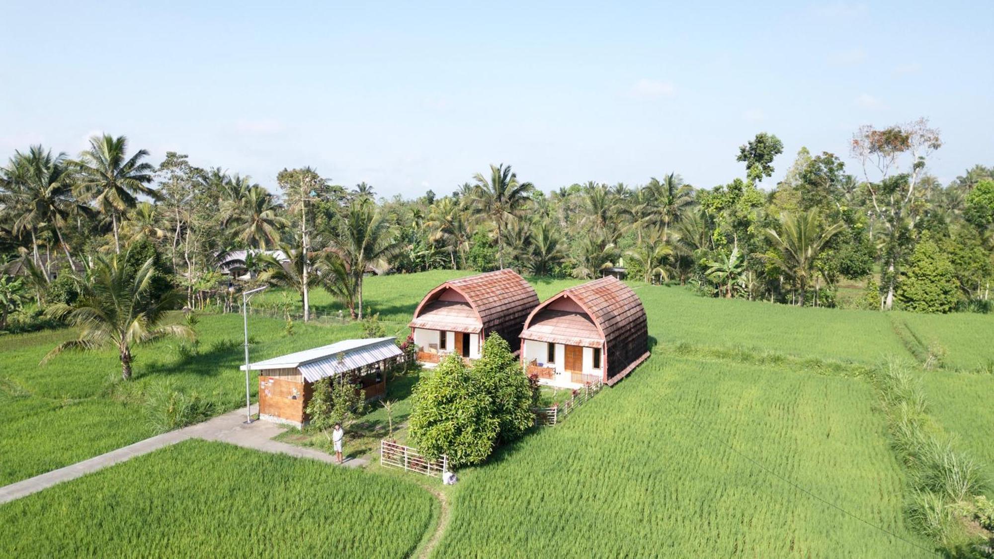 Bale Tetebatu Villa Ngoại thất bức ảnh