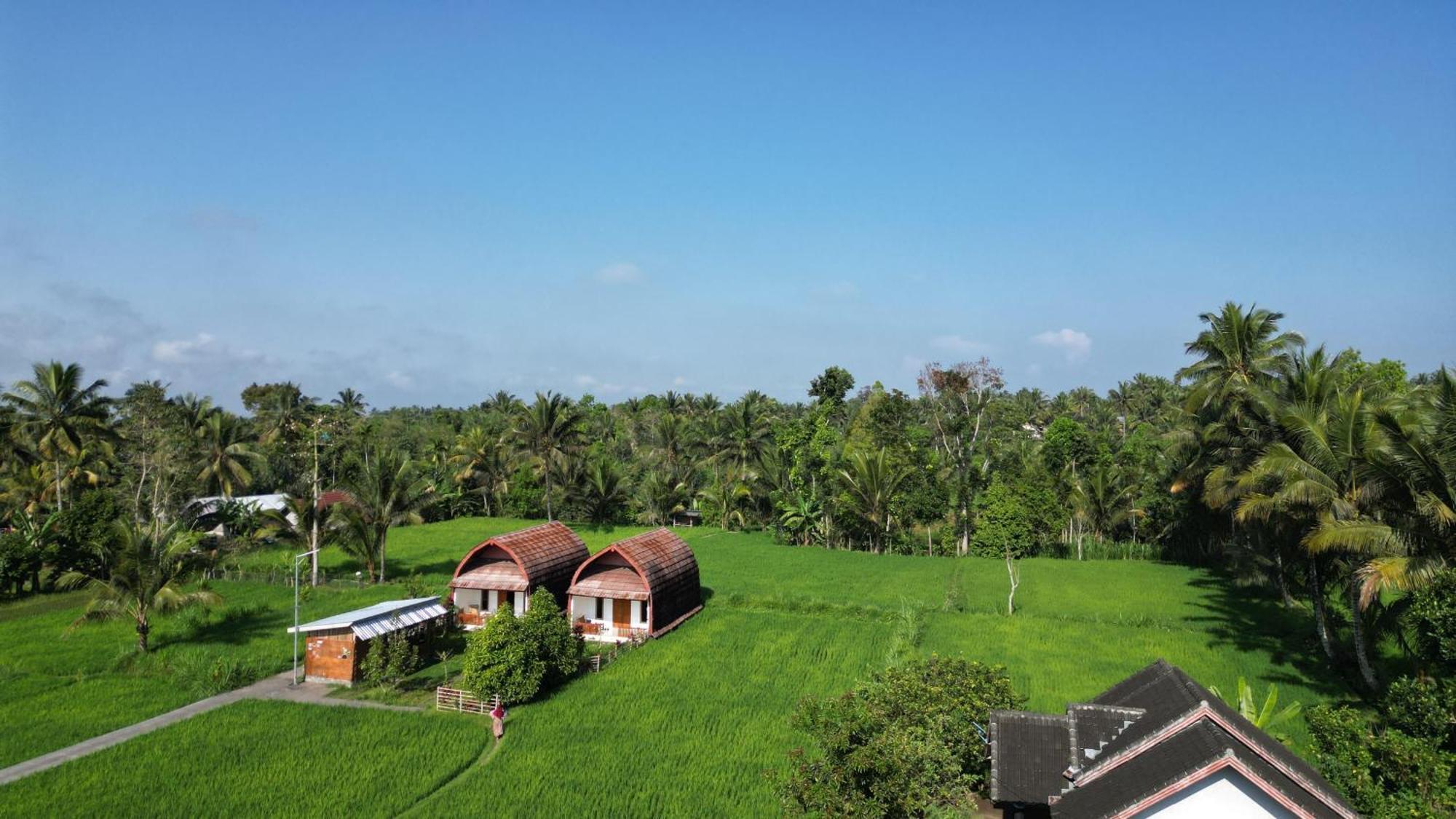 Bale Tetebatu Villa Ngoại thất bức ảnh