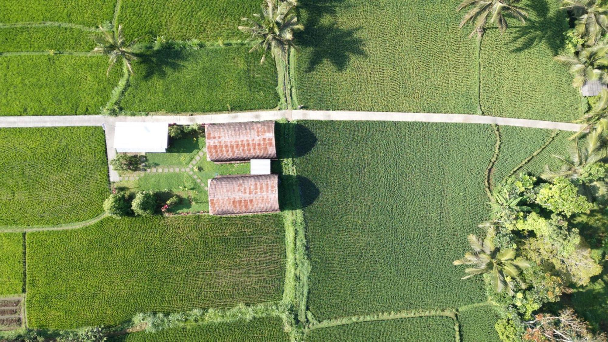 Bale Tetebatu Villa Ngoại thất bức ảnh