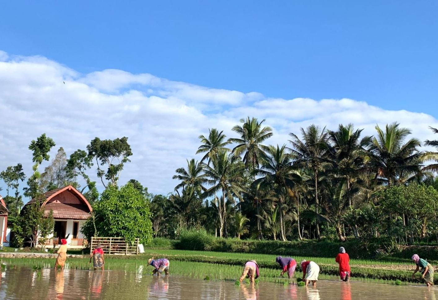 Bale Tetebatu Villa Ngoại thất bức ảnh