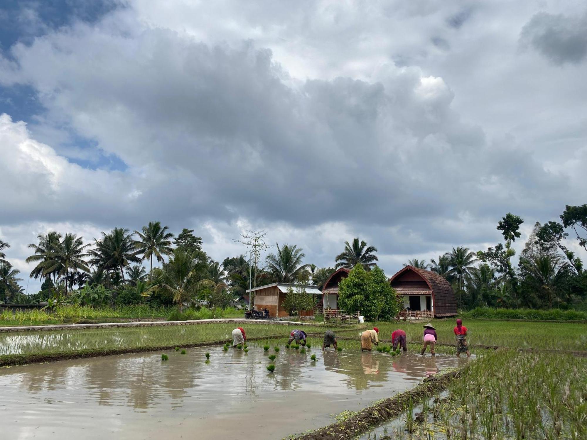 Bale Tetebatu Villa Ngoại thất bức ảnh