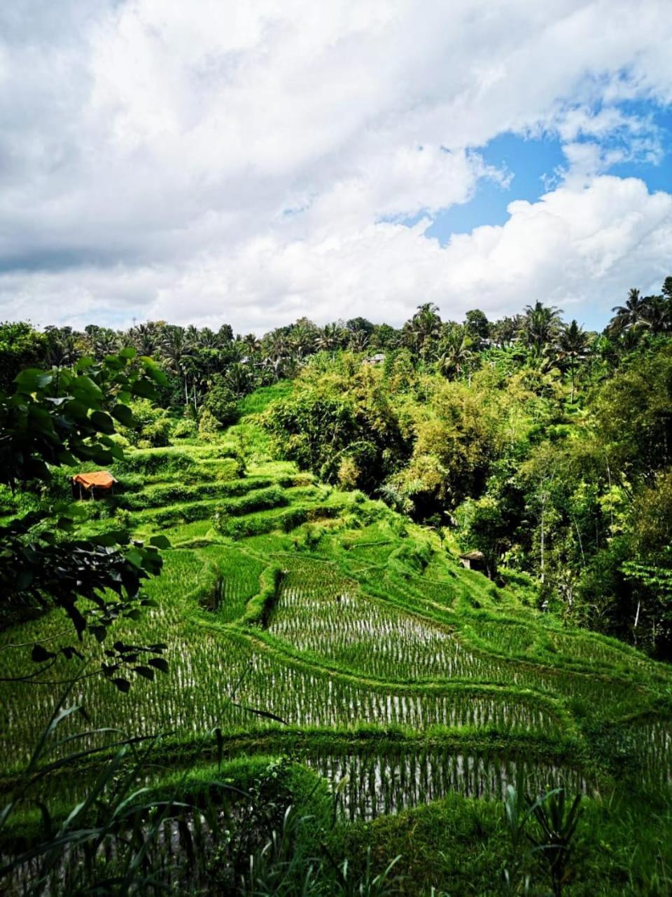 Bale Tetebatu Villa Ngoại thất bức ảnh